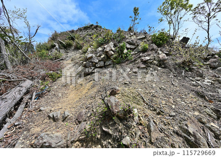 丹波「岩尾城」野面積みの石垣と登城道 115729669