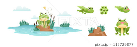 Cute Green Frog or Toad Character with Folded Limbs Vector Set Cute Green Frog or Toad Character with Folded Limbs Vector Set 115729877