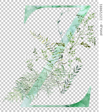 Green letter Z with Watercolor whimsical tender leaves isolated illustration, wedding element 115729891