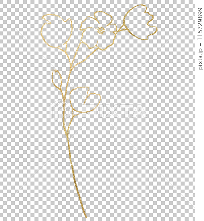 Hand drawn wildflowers, golden outlines flowers isolated illustration, wedding stationery 115729899