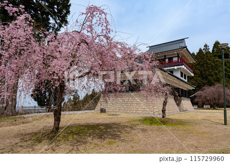 舟見城と桜 舟見城と桜 115729960