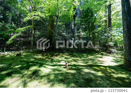 寂光院の建礼門院徳子御庵室跡 寂光院の建礼門院徳子御庵室跡 115730041