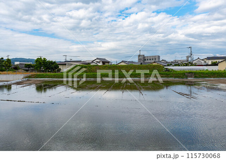 太田城堤防跡 太田城堤防跡 115730068