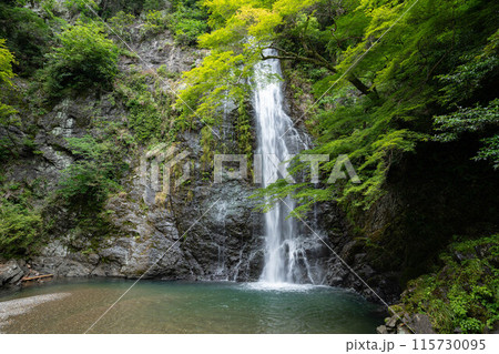 箕面滝と青紅葉 115730095