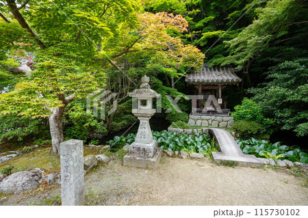 観心寺の弁天堂 115730102