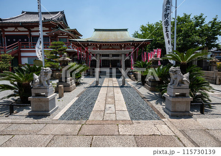 妙国寺の宇賀徳正龍神 妙国寺の宇賀徳正龍神 115730139