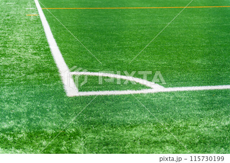 ラインのあるサッカーグラウンド 115730199