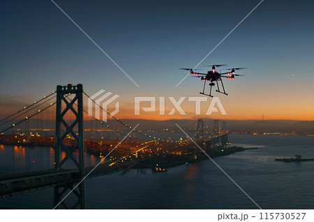 橋梁検査ドローンとベイエリア地区の吊り橋1 115730527