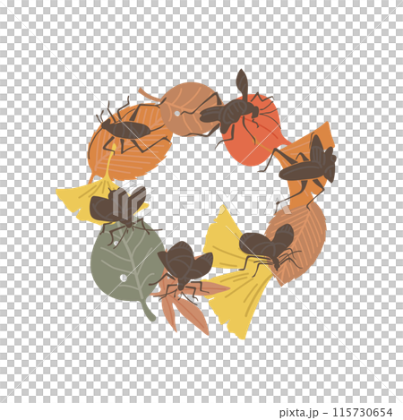 秋天落葉和鐘形甲蟲的插圖（彩色） 115730654