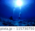 青い海とダイバー 115730750
