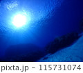 海中から見上げた空 115731074