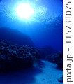 海中地形と見上げた空 115731075