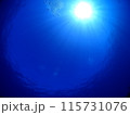 海中から見上げた太陽 115731076