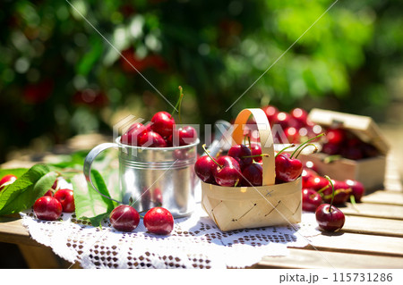 Still life of cherries on table in garden 115731286