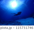 青い海と太陽光とダイバー 115731746