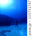 海底に直立するダイバー　 115731747