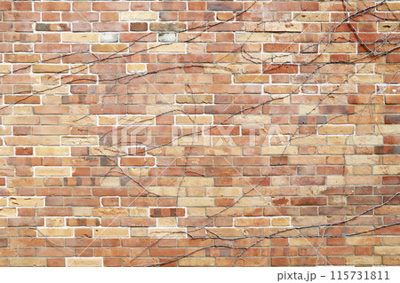 煉瓦・石壁の背景画像 煉瓦・石壁の背景画像 115731811