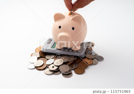 豚の貯金箱に右手でコインを入れて貯金 115731965