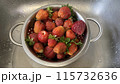 Washing red ripe strawberries in colander, dirty strawberries collected from the garden 115732636
