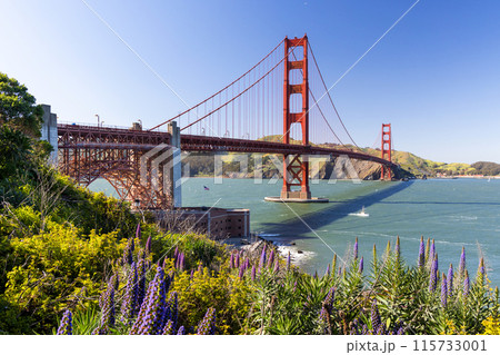 Golden Gate Bridge Golden Gate Bridge 115733001