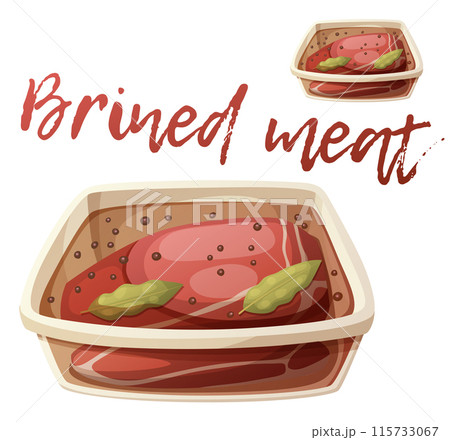 Brined meat for barbecue icon. Cartoon vector illustration isolated on white background Brined meat for barbecue icon. Cartoon vector illustration isolated on white background 115733067