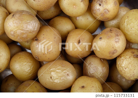 A full frame of boiled, unpeeled potatoes. 115733131