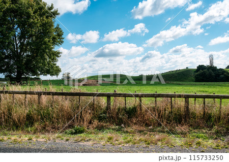 Green pasture hill with cattle farm in farmland at countryside 115733250