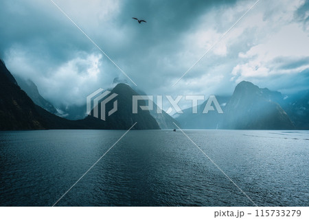 Milford Sound with Mitre peak in moody weather and bird flying at New Zealand 115733279