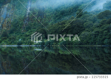Deep forest with lake and foggy reflection in the morning 115733315