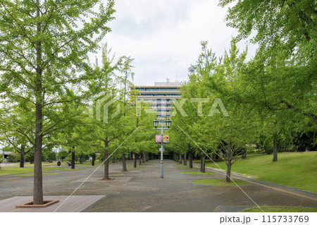 熊本県庁 115733769