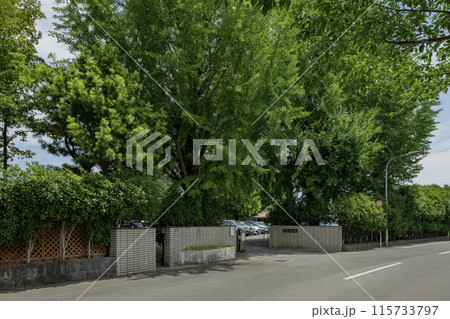 泉ヶ丘小学校校門 泉ヶ丘小学校校門 115733797