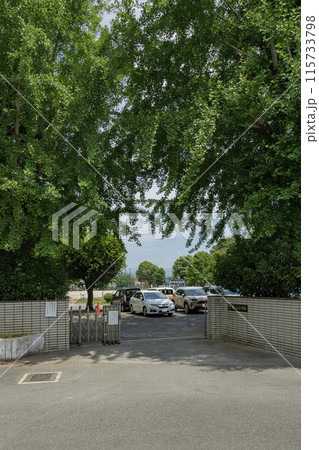 泉ヶ丘小学校校門 115733798
