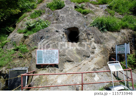 埼玉県　吉見百穴のヒカリゴケ自生地 115733946