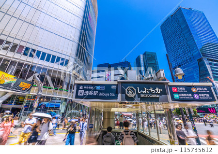 日本の東京都市景観 6月。復活インバウンド…外国人観光客らが続々…渋谷センター街やしぶちかなどを望む 115735612