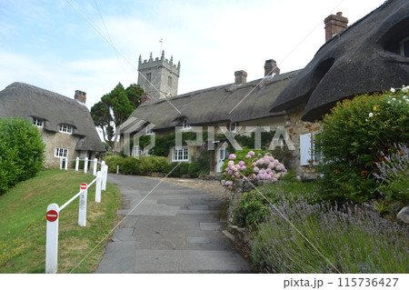 ワイト島のビレッジ ワイト島のビレッジ 115736427