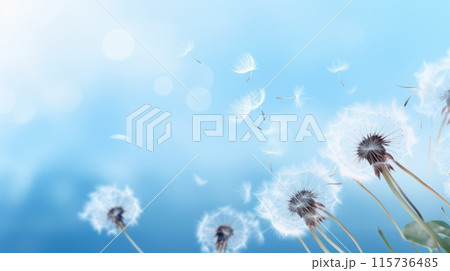 Dandelion seeds dispersing in the air against a soft blue background with bokeh effects. 115736485