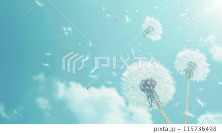 Soft dandelions and delicate flowers against a light blue background with floating seeds. 115736498