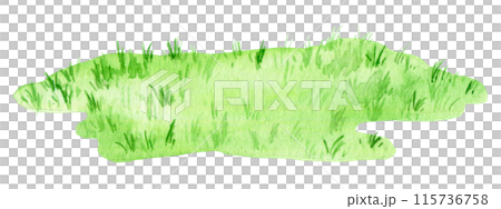 watercolor drawing, green lawn. cute isolated illustration with green grass 115736758