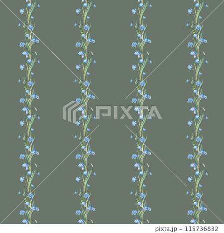 Seamless pattern of the light blue first spring flowers. Watercolor botanical illustration of delicate lilac flowers. Three scillas hand drawn isolated on white background. Banner with little bouquet. 115736832