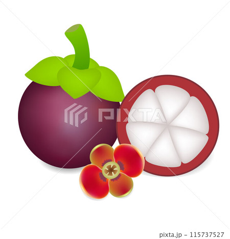 Asian tropical ripe mangosteen fruit with flower on white. Asian tropical ripe mangosteen fruit with flower on white. 115737527