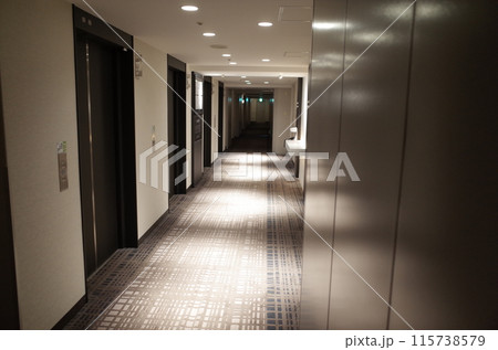 客室廊下の風景_ANA CROWNE PLAZA SAPPORO 115738579