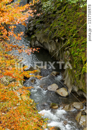 宮崎県三股町を走る剣道33号線沿いを流れる沖水川ある新緑と紅葉の美しい長田峡 宮崎県三股町を走る剣道33号線沿いを流れる沖水川ある新緑と紅葉の美しい長田峡 115738978