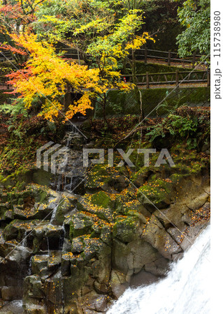 宮崎県三股町を走る剣道33号線と並行して流れる沖水川ある新緑と紅葉の美しい長田峡 宮崎県三股町を走る剣道33号線と並行して流れる沖水川ある新緑と紅葉の美しい長田峡 115738980