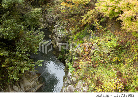 宮崎県三股町を走る剣道33号線と並行して流れる沖水川ある新緑と紅葉の美しい長田峡 115738982