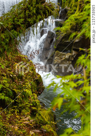 宮崎県三股町を走る剣道33号線と並行して流れる沖水川ある新緑と紅葉の美しい長田峡 115738985