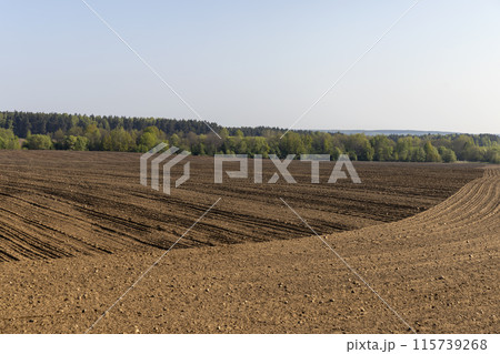 preparing the soil for sowing in spring preparing the soil for sowing in spring 115739268