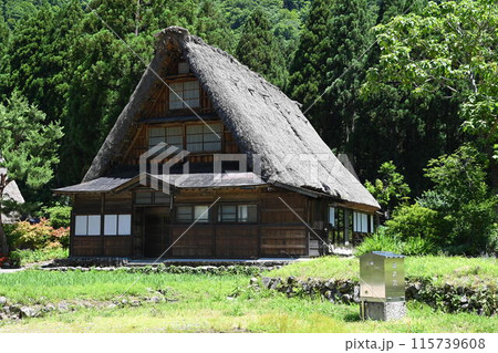 初夏の五箇山菅沼集落 115739608