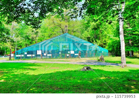 おびひろ動物園　ワシ・タカ舎の風景 115739953