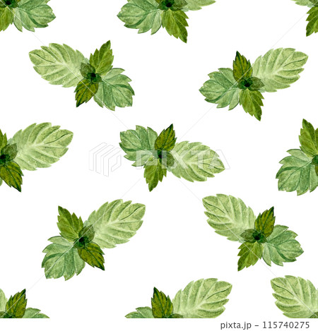 Mint leafs seamless pattern, Hand drawn in watercolor isolated on white background, high quality art for food design. Great for packages, textile, notebooks, wrapping paper and kitchen decor 115740275