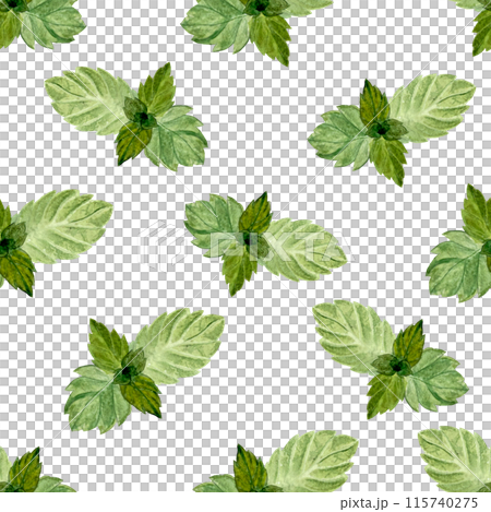 Mint leafs seamless pattern, Hand drawn in watercolor isolated on white background, high quality art for food design. Great for packages, textile, notebooks, wrapping paper and kitchen decor 115740275